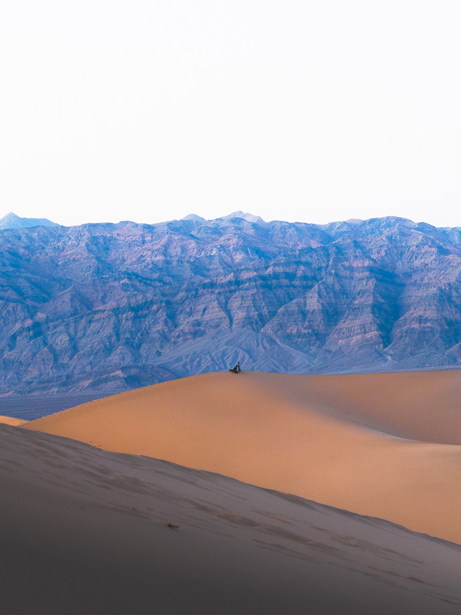 A lone figure sits atop golden dunes dwarfed by violet canyon walls.
