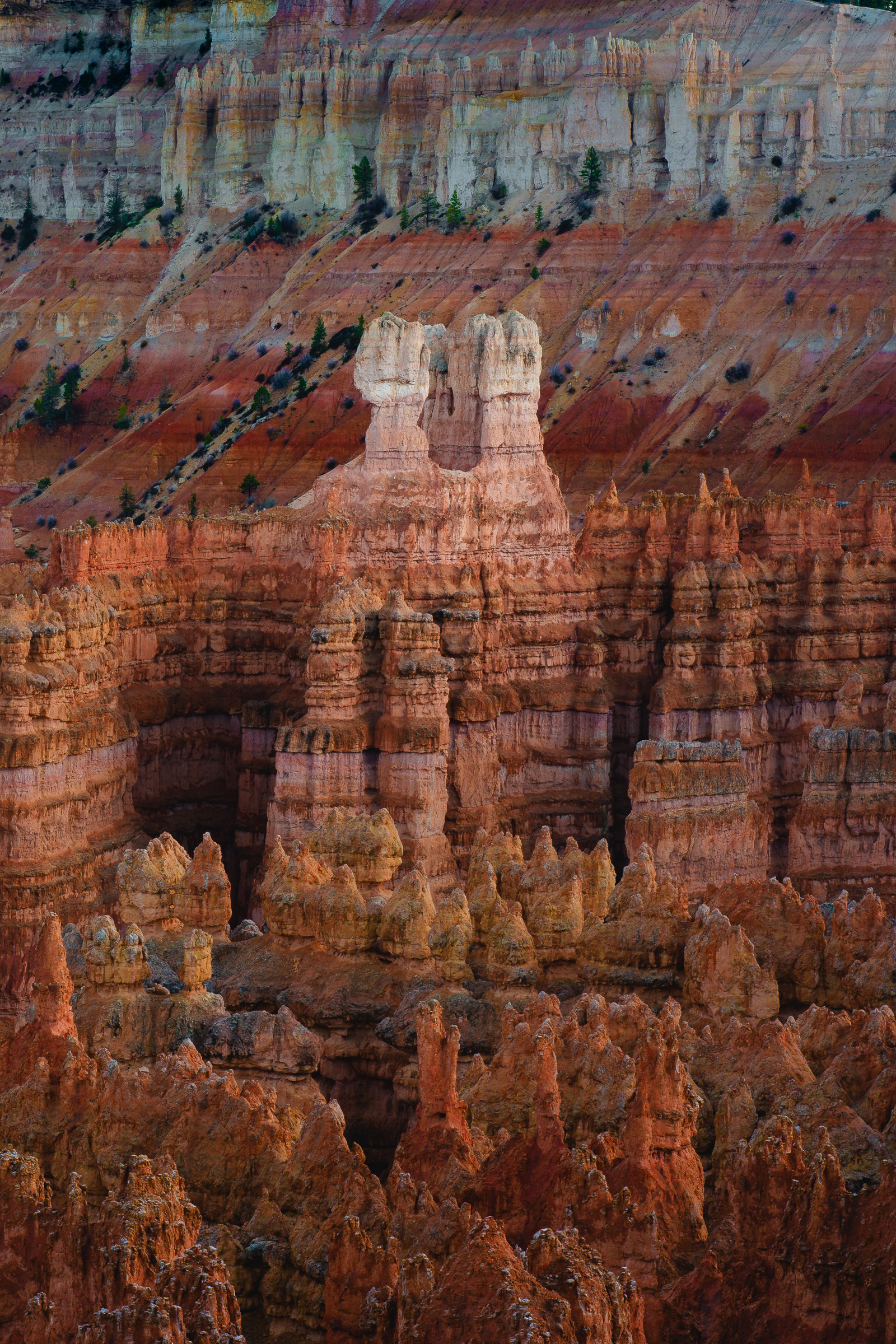 Close-up of layered orange and red hoodoo formations at Bryce Canyon