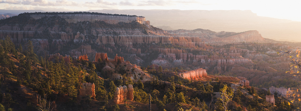 Golden hour light sweeps across Bryce Canyon's amphitheater of stone spires.