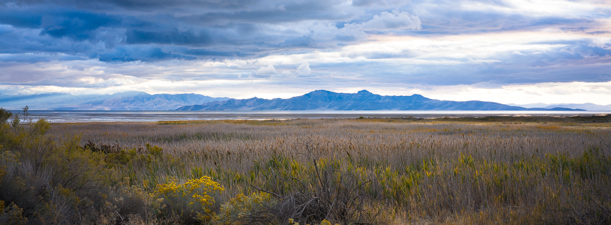 Marshland and distant peaks frame the Great Salt Lake at dusk.