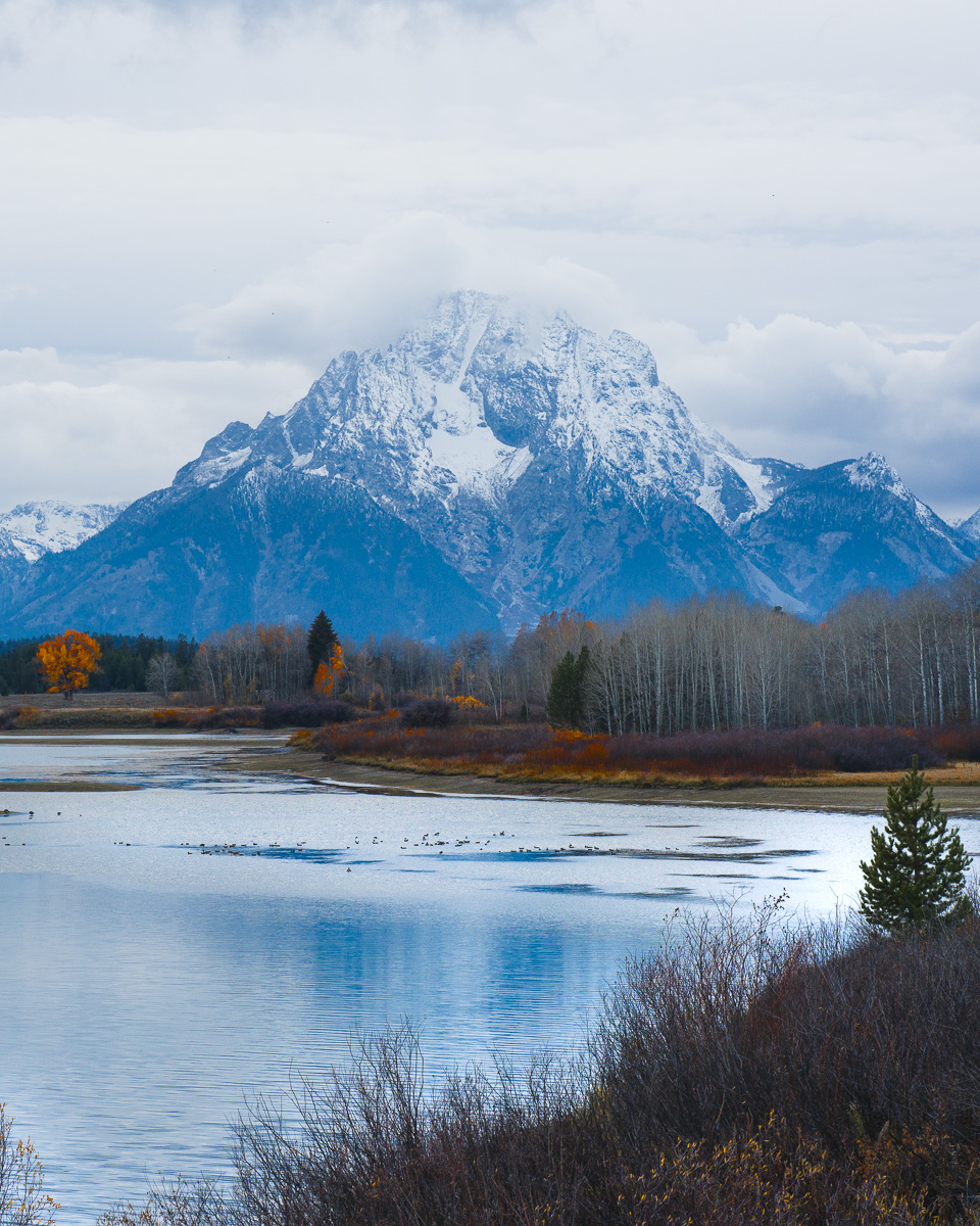 Mount Moran towers above the Snake River's autumn-framed, mirrored waters.