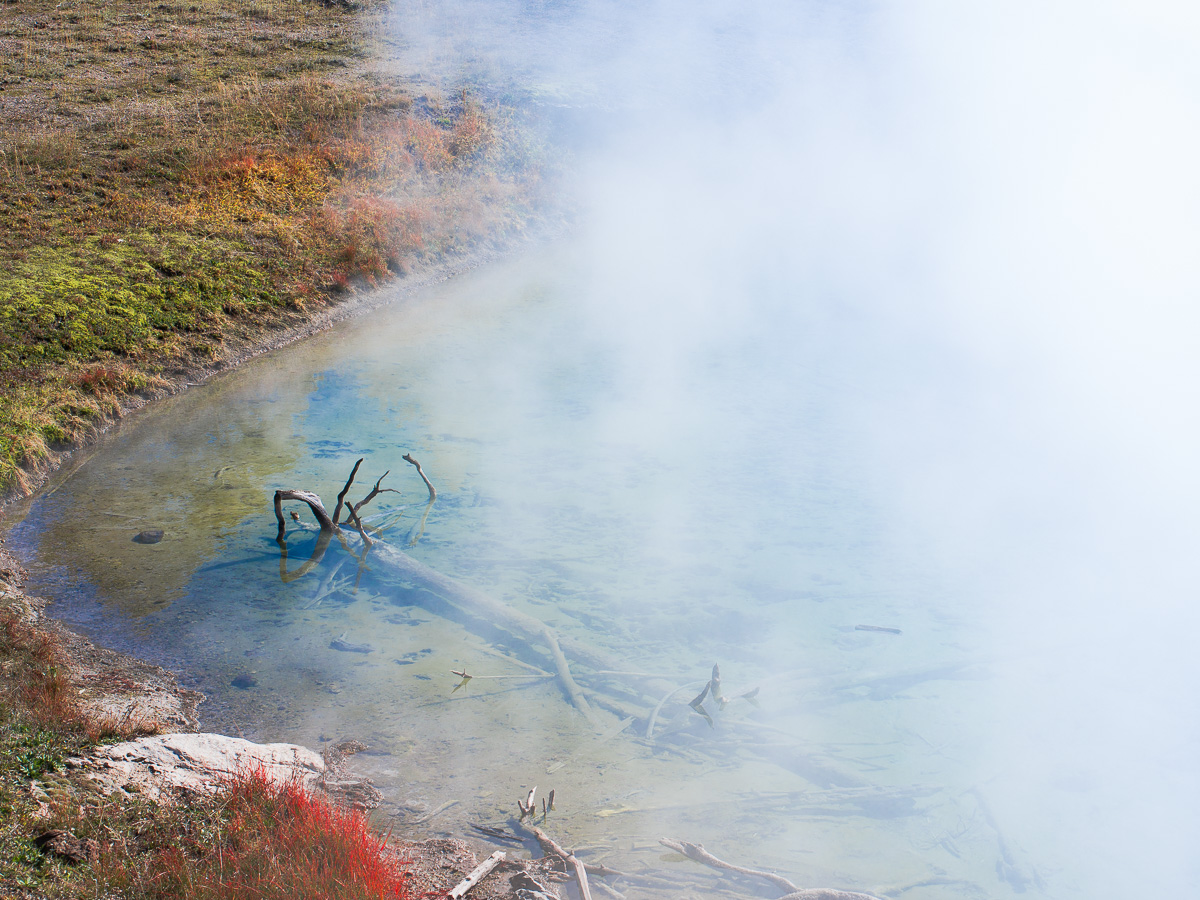 Steam rises from a turquoise hot spring bordered by autumn color.