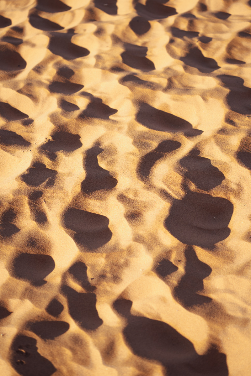 Wind-sculpted sand ripples catch golden light in an endless textured pattern.