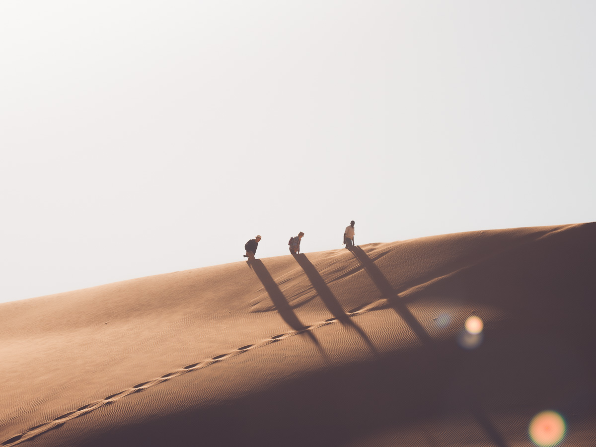 Three figures ascend a sunlit dune ridge, their long shadows trailing behind.